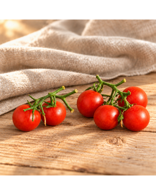 Cocktail Tomate Barbanjaka 10 Samen