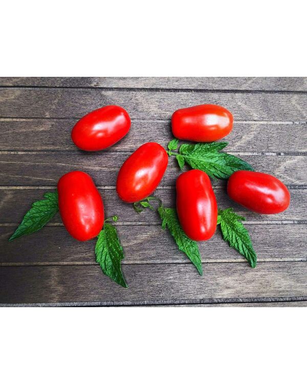 Cocktailtomate Datterino 10 Samen